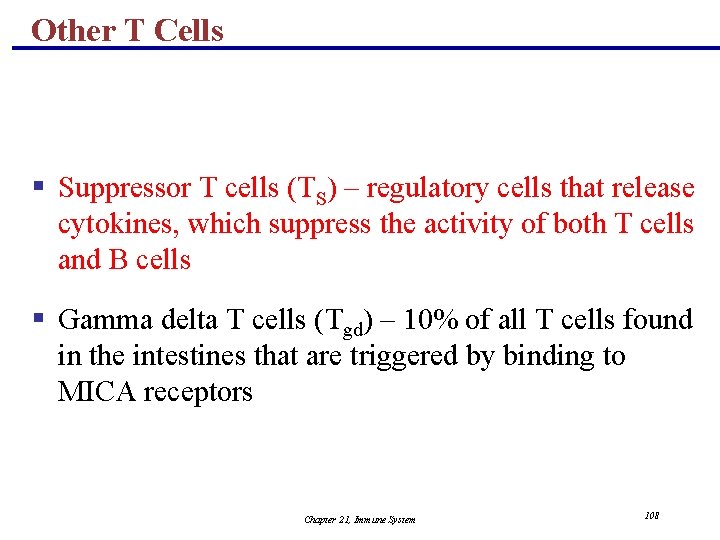 Other T Cells § Suppressor T cells (TS) – regulatory cells that release cytokines,