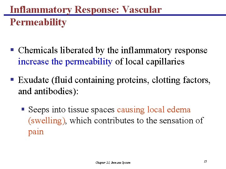 Inflammatory Response: Vascular Permeability § Chemicals liberated by the inflammatory response increase the permeability