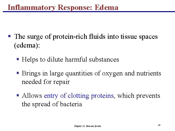 Inflammatory Response: Edema § The surge of protein-rich fluids into tissue spaces (edema): §