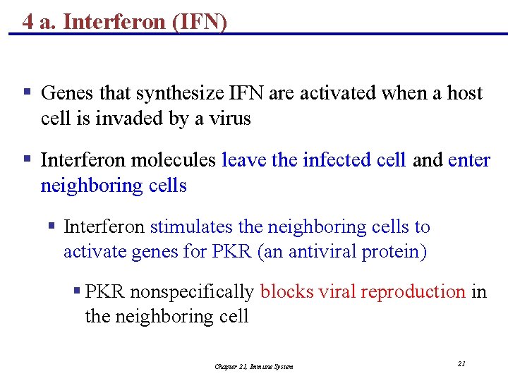 4 a. Interferon (IFN) § Genes that synthesize IFN are activated when a host