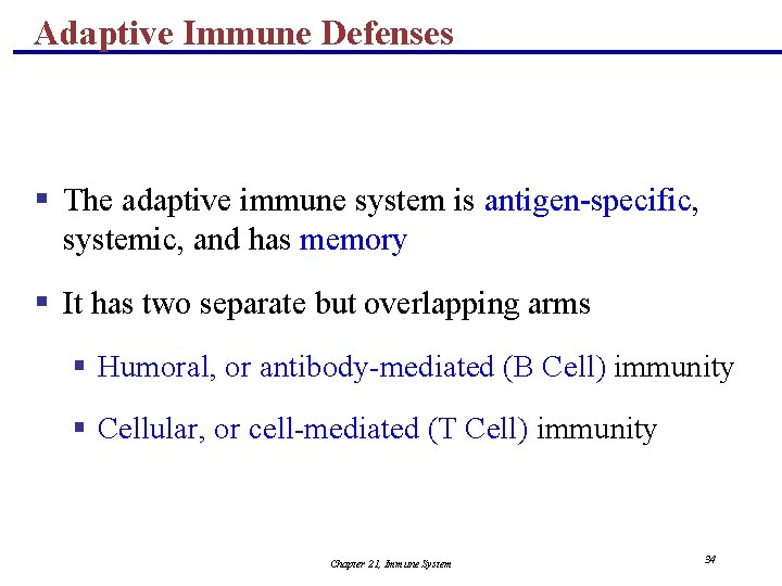 Adaptive Immune Defenses § The adaptive immune system is antigen-specific, systemic, and has memory
