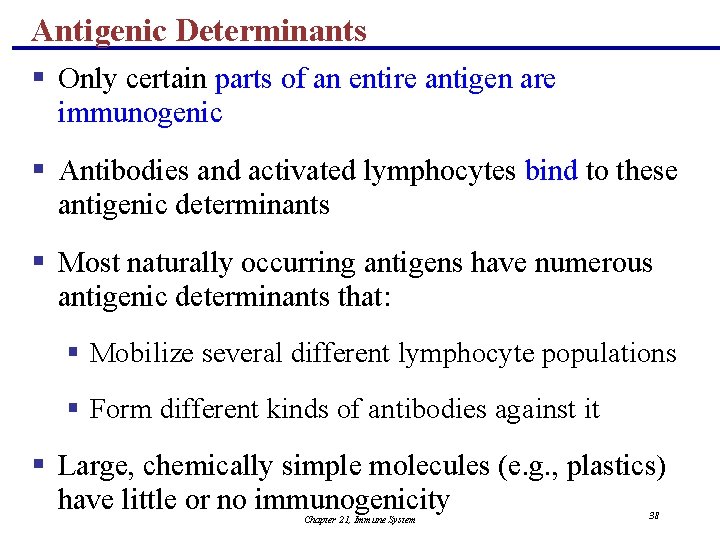 Antigenic Determinants § Only certain parts of an entire antigen are immunogenic § Antibodies