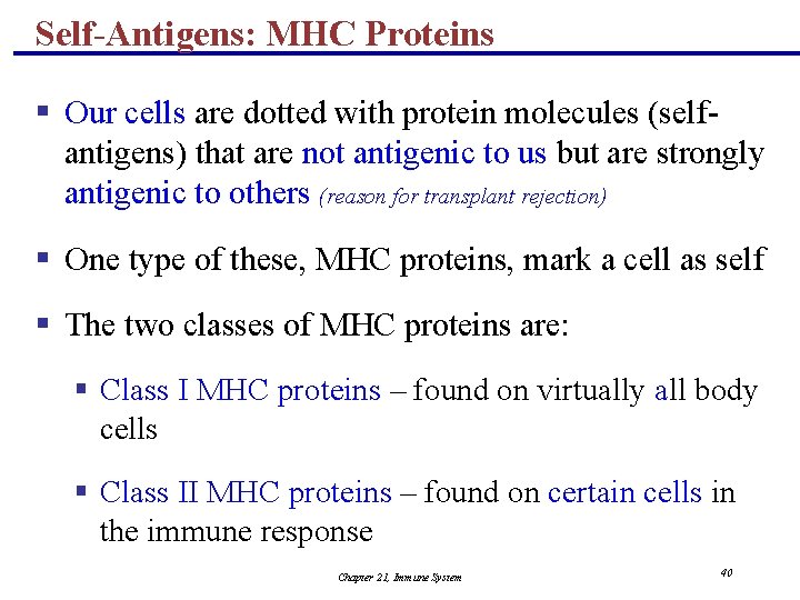 Self-Antigens: MHC Proteins § Our cells are dotted with protein molecules (selfantigens) that are