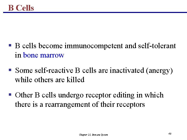 B Cells § B cells become immunocompetent and self-tolerant in bone marrow § Some