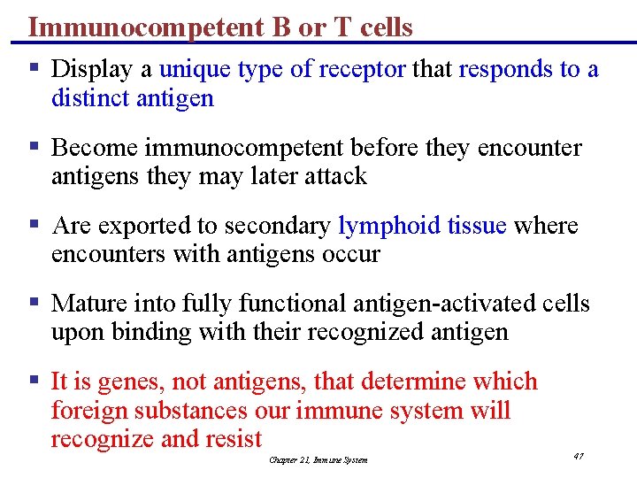 Immunocompetent B or T cells § Display a unique type of receptor that responds