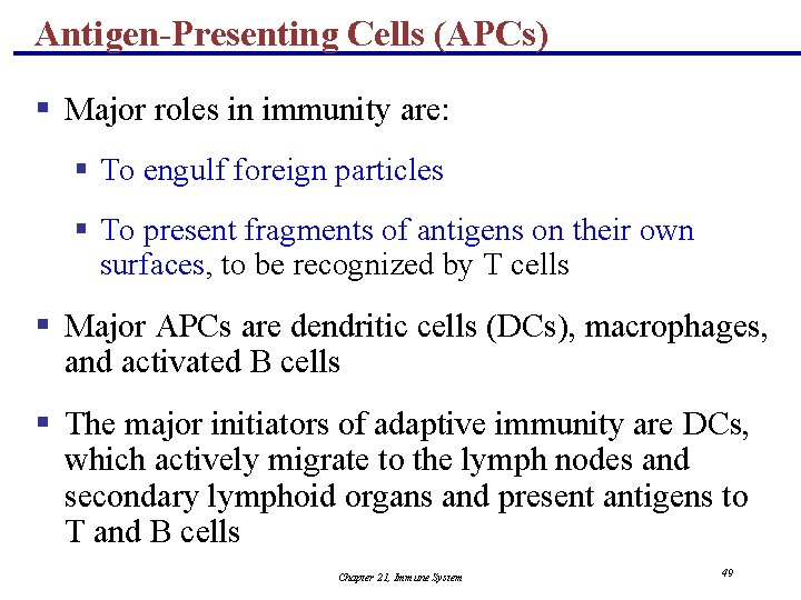 Antigen-Presenting Cells (APCs) § Major roles in immunity are: § To engulf foreign particles