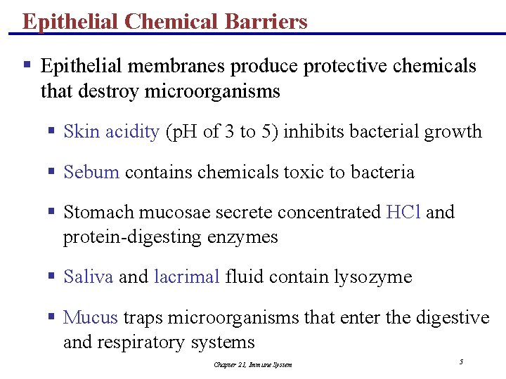 Epithelial Chemical Barriers § Epithelial membranes produce protective chemicals that destroy microorganisms § Skin