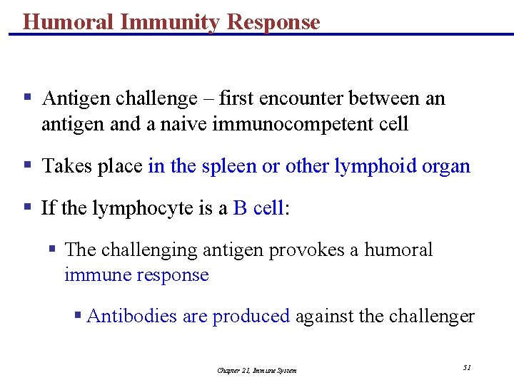 Humoral Immunity Response § Antigen challenge – first encounter between an antigen and a