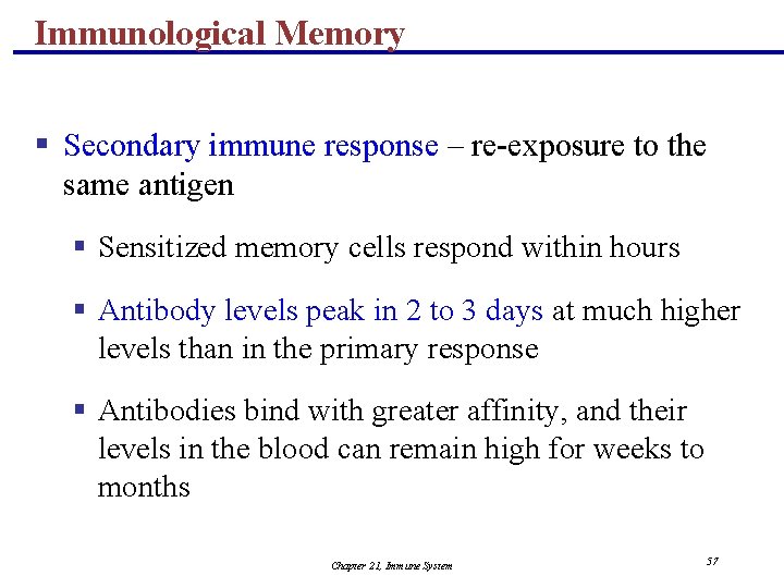 Immunological Memory § Secondary immune response – re-exposure to the same antigen § Sensitized
