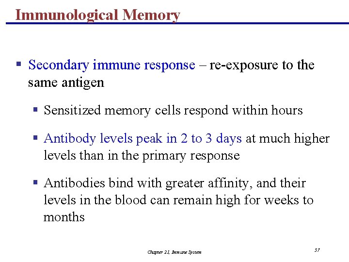 Immunological Memory § Secondary immune response – re-exposure to the same antigen § Sensitized