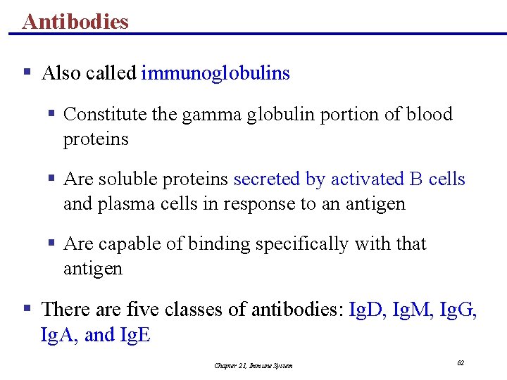 Antibodies § Also called immunoglobulins § Constitute the gamma globulin portion of blood proteins