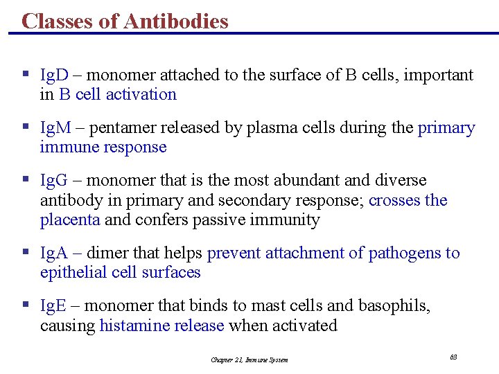 Classes of Antibodies § Ig. D – monomer attached to the surface of B