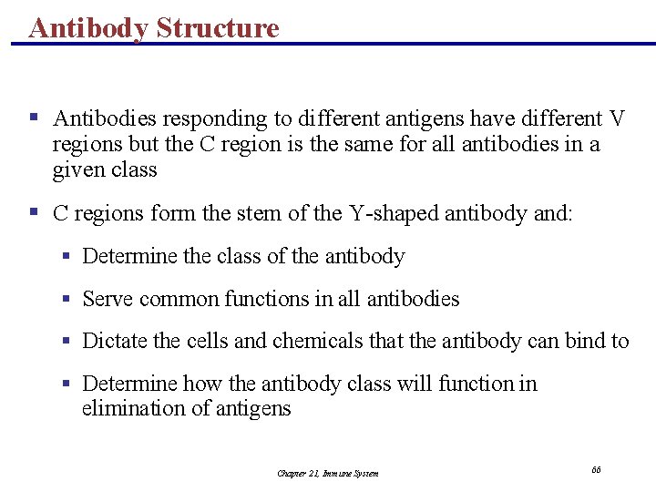 Antibody Structure § Antibodies responding to different antigens have different V regions but the