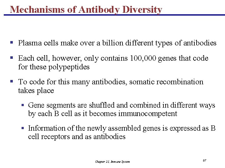 Mechanisms of Antibody Diversity § Plasma cells make over a billion different types of