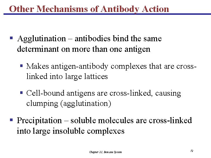 Other Mechanisms of Antibody Action § Agglutination – antibodies bind the same determinant on