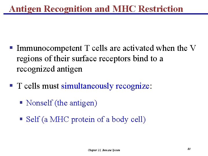 Antigen Recognition and MHC Restriction § Immunocompetent T cells are activated when the V