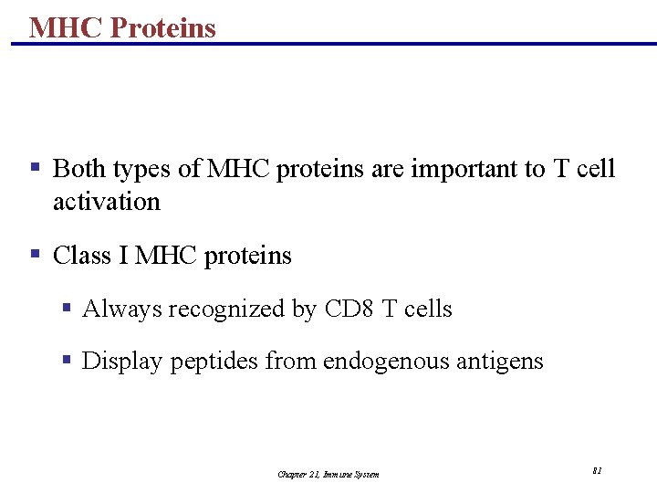 MHC Proteins § Both types of MHC proteins are important to T cell activation