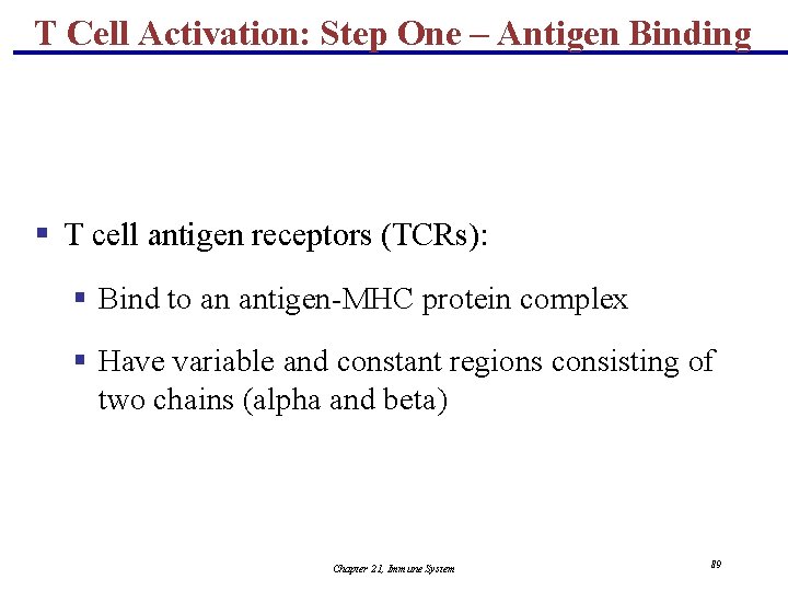 T Cell Activation: Step One – Antigen Binding § T cell antigen receptors (TCRs):