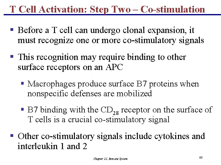 T Cell Activation: Step Two – Co-stimulation § Before a T cell can undergo