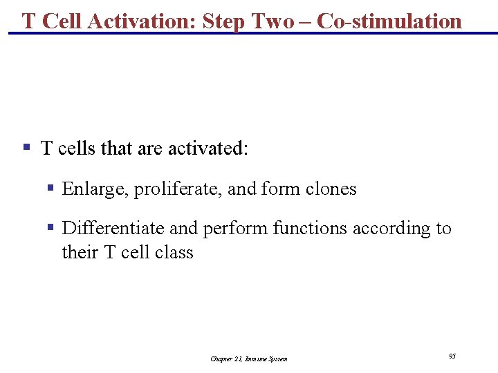 T Cell Activation: Step Two – Co-stimulation § T cells that are activated: §