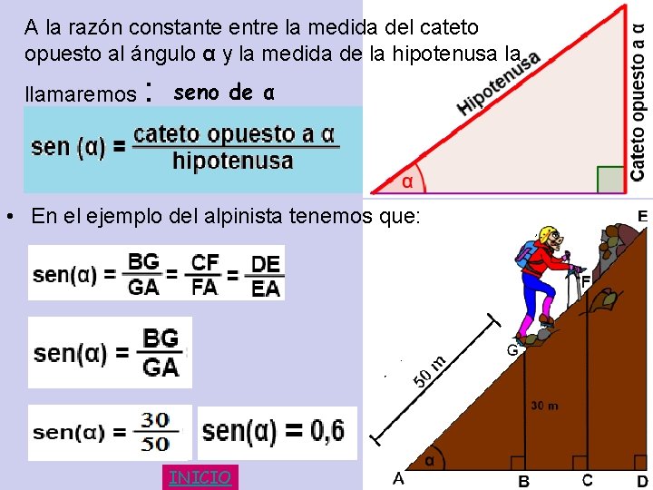 A la razón constante entre la medida del cateto opuesto al ángulo α y