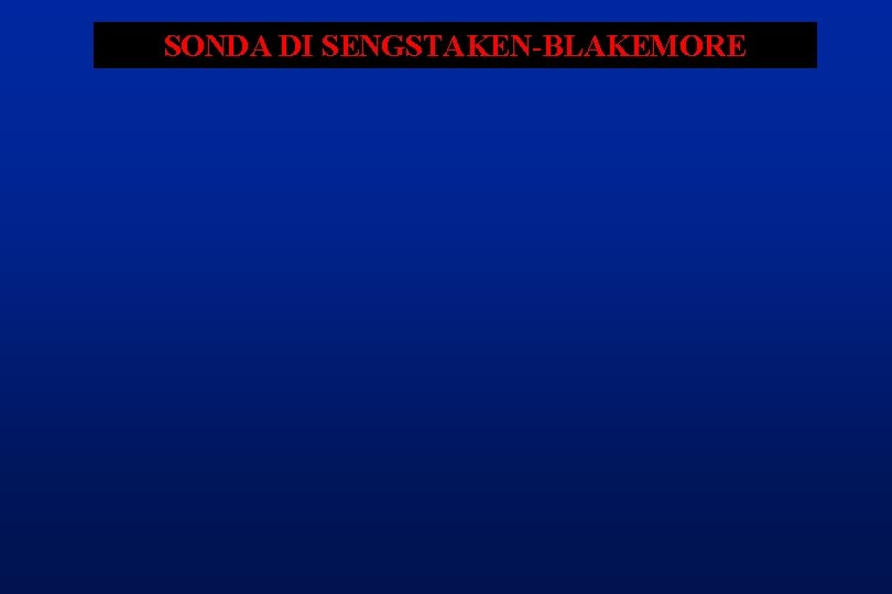 SONDA DI SENGSTAKEN-BLAKEMORE 
