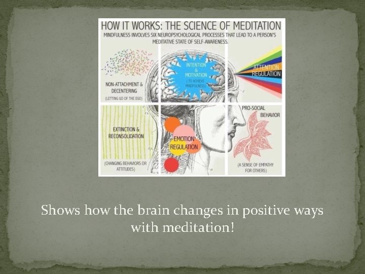 Shows how the brain changes in positive ways with meditation! 