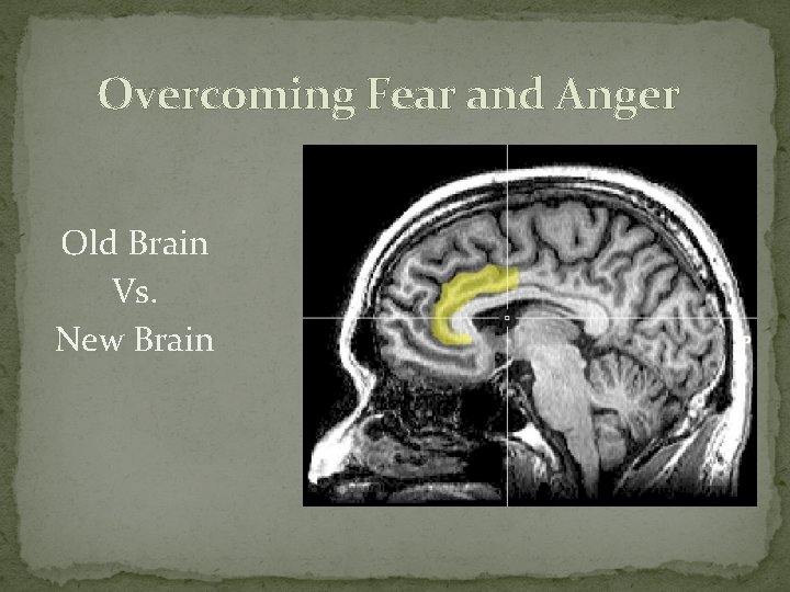 Overcoming Fear and Anger Old Brain Vs. New Brain 