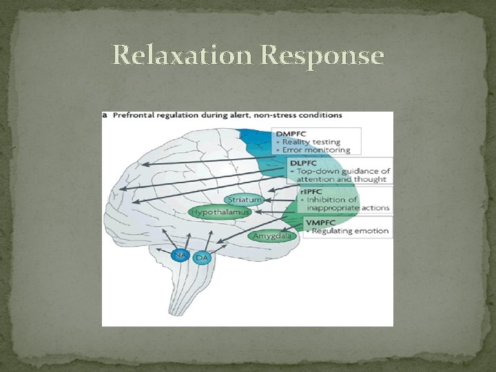 Relaxation Response 