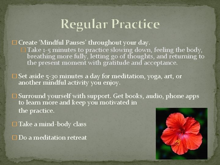 Regular Practice � Create ‘Mindful Pauses’ throughout your day. � Take 1 -5 minutes