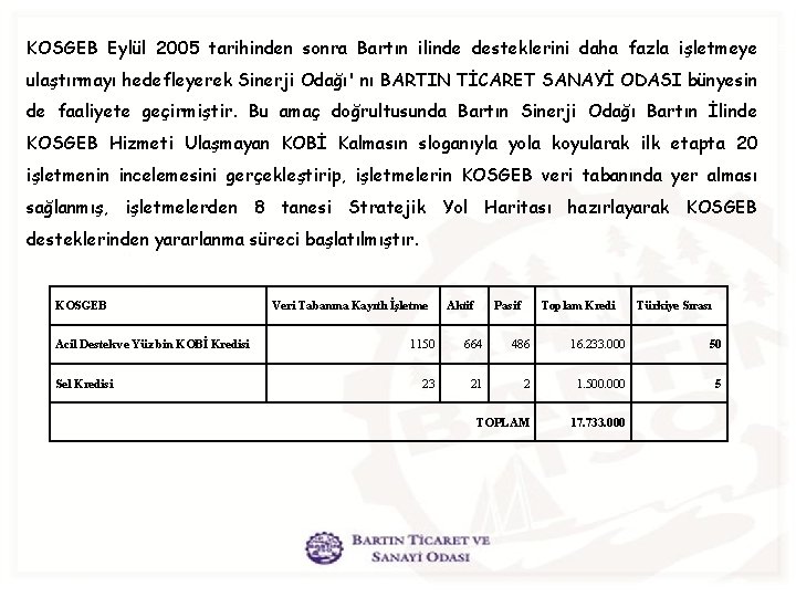 KOSGEB Eylül 2005 tarihinden sonra Bartın ilinde desteklerini daha fazla işletmeye ulaştırmayı hedefleyerek Sinerji