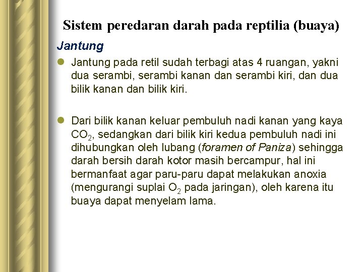 Sistem peredaran darah pada reptilia (buaya) Jantung l Jantung pada retil sudah terbagi atas