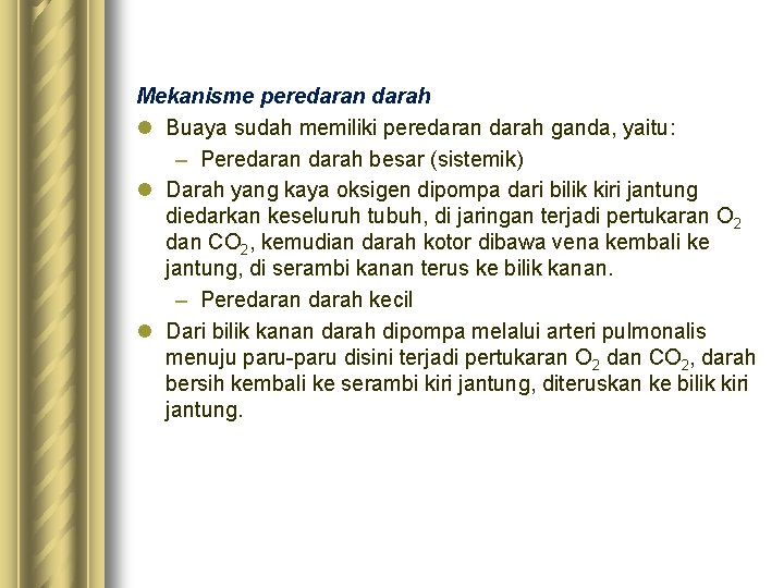 Mekanisme peredaran darah l Buaya sudah memiliki peredaran darah ganda, yaitu: – Peredaran darah