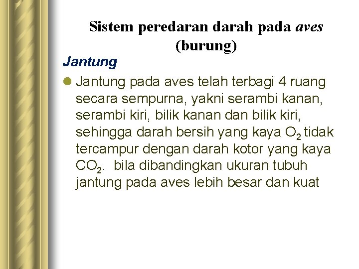 Sistem peredaran darah pada aves (burung) Jantung l Jantung pada aves telah terbagi 4