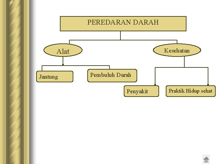 PEREDARAN DARAH Kesehatan Alat Jantung Pembuluh Darah Penyakit Praktik Hidup sehat 