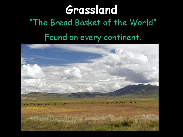 Grassland “The Bread Basket of the World” Found on every continent. 