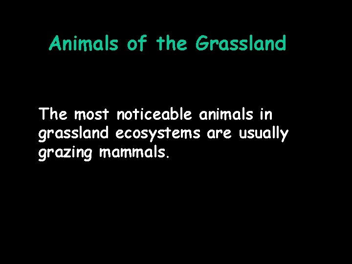 Animals of the Grassland The most noticeable animals in grassland ecosystems are usually grazing