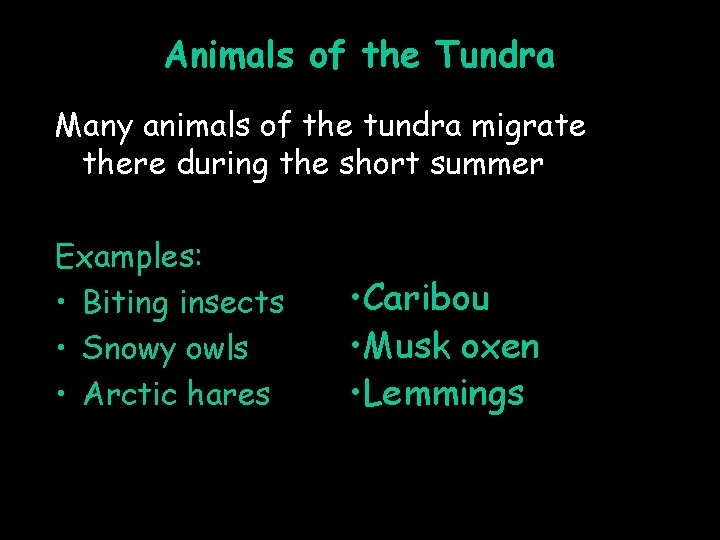 Animals of the Tundra Many animals of the tundra migrate there during the short