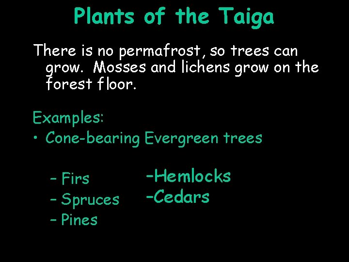 Plants of the Taiga There is no permafrost, so trees can grow. Mosses and