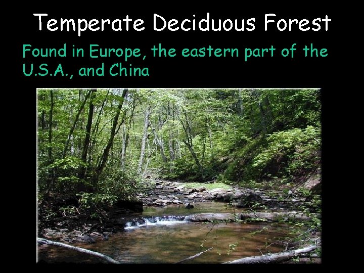 Temperate Deciduous Forest Found in Europe, the eastern part of the U. S. A.