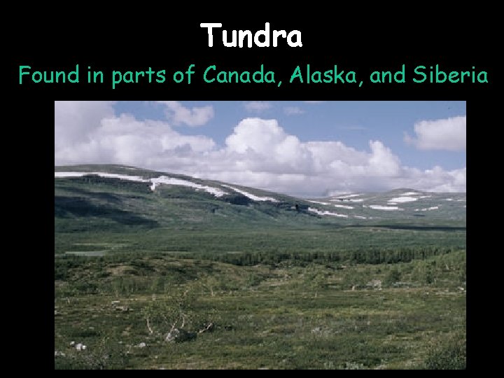 Tundra Found in parts of Canada, Alaska, and Siberia 