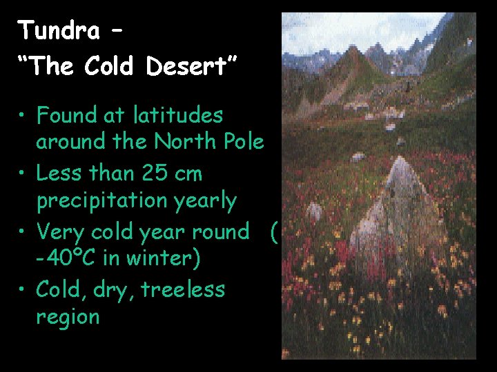 Tundra – “The Cold Desert” • Found at latitudes around the North Pole •