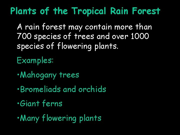 Plants of the Tropical Rain Forest A rain forest may contain more than 700