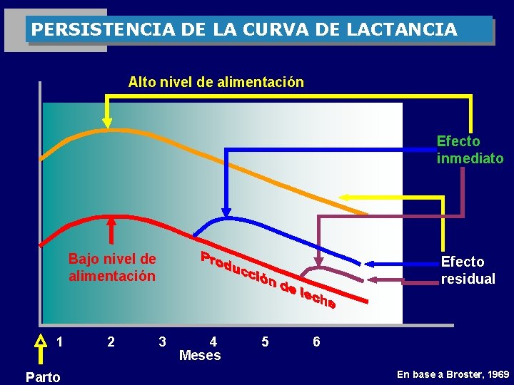 PERSISTENCIA DE LA CURVA DE LACTANCIA Alto nivel de alimentación Efecto inmediato Bajo nivel