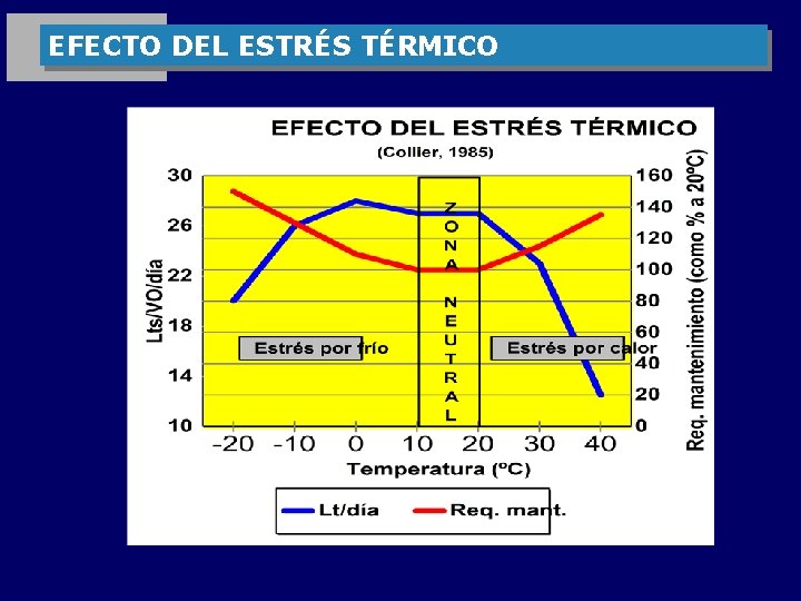 EFECTO DEL ESTRÉS TÉRMICO 