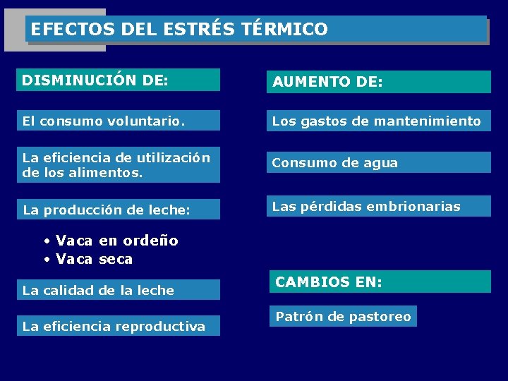 EFECTOS DEL ESTRÉS TÉRMICO DISMINUCIÓN DE: AUMENTO DE: El consumo voluntario. Los gastos de