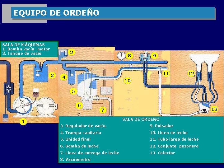 EQUIPO DE ORDEÑO SALA DE MÁQUINAS 1. Bomba vacío- motor 2. Tanque de vacío