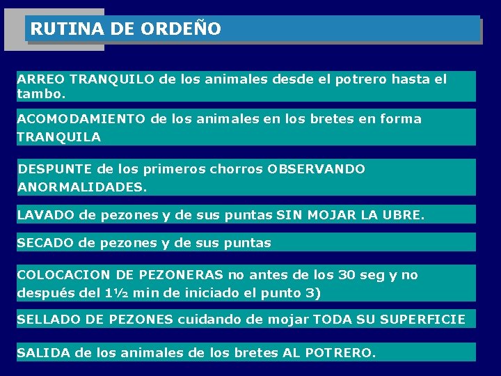 RUTINA DE ORDEÑO ARREO TRANQUILO de los animales desde el potrero hasta el tambo.