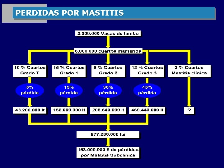 PERDIDAS POR MASTITIS 