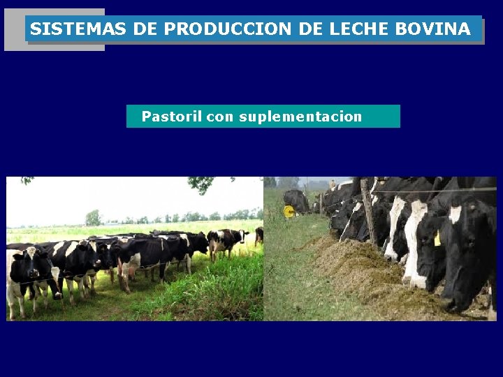 SISTEMAS DE PRODUCCION DE LECHE BOVINA Pastoril con suplementacion 